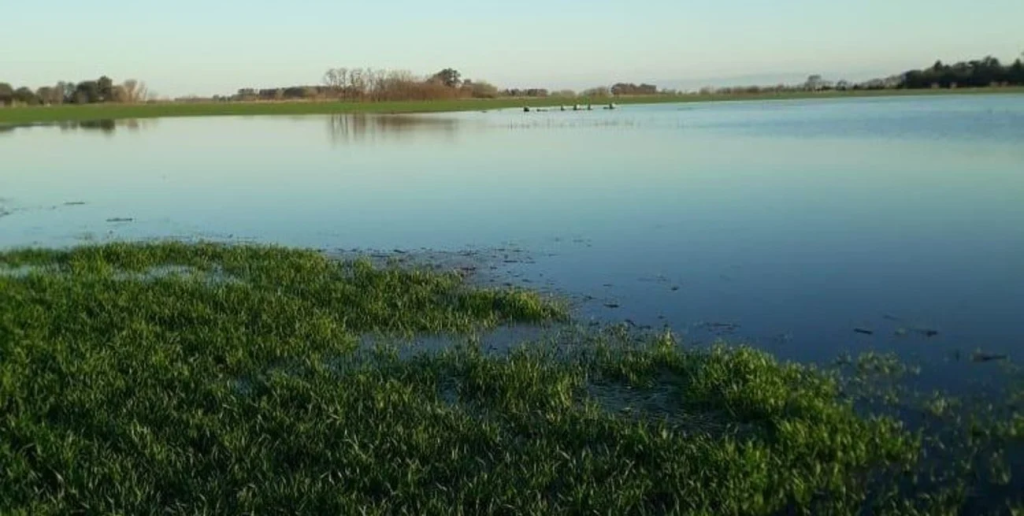 &iquest;Hay razones para temer un semestre fr&iacute;o con lluvias en exceso en Argentina?