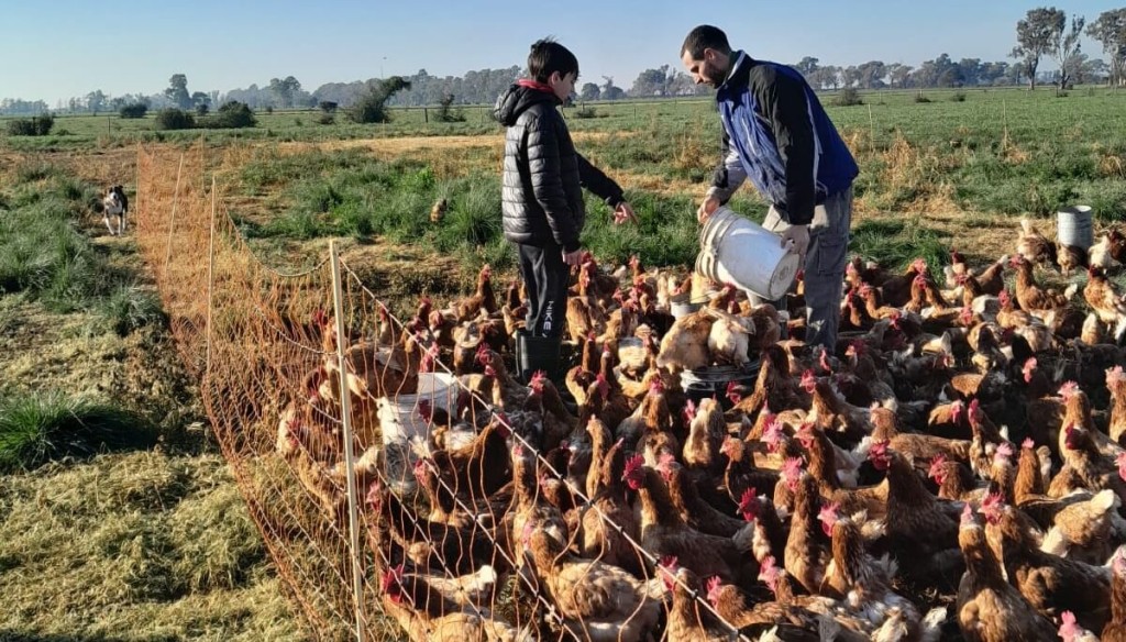 Juan Pablo, el productor que cr&iacute;a aves &ldquo;libres&rdquo; para dejarle a su hijo &ldquo;un mundo maravilloso&rdquo;