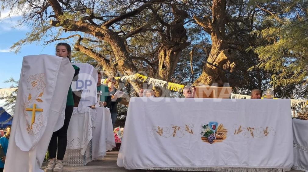 Multitudinaria procesi&oacute;n en Mail&iacute;n: fieles participaron del traslado de la imagen al &Aacute;rbol Santo