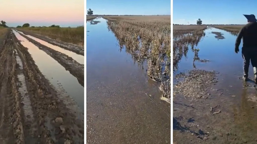 A un mes del temporal, los campos de Villa Minetti contin&uacute;an bajo el agua