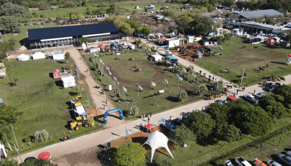 Las Nacionales 2026: otra gran vidriera de la gen&eacute;tica bovina argentina se alista en Corrientes