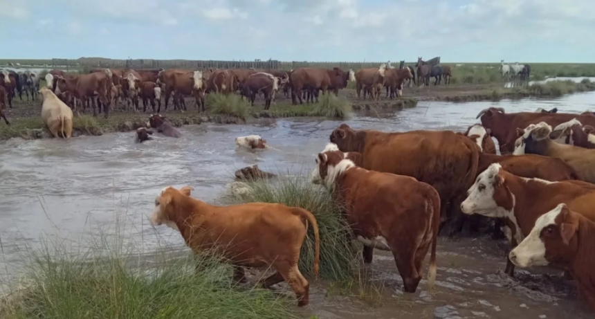 Emergencia agropecuaria en Santa Fe: qu&eacute; zonas est&aacute;n en riesgo y qu&eacute; medidas se aplican