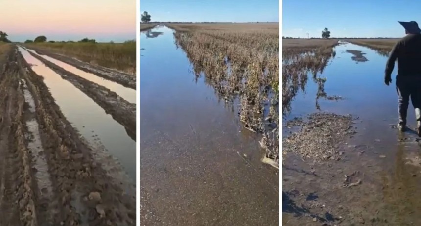 A un mes del temporal, los campos de Villa Minetti contin&uacute;an bajo el agua