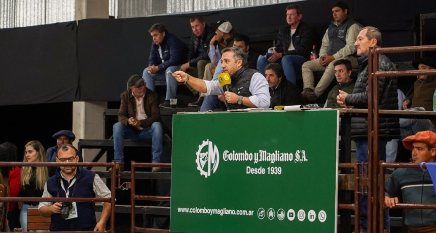 Nacional Brahman: $40 millones por el 50% del Gran Campe&oacute;n