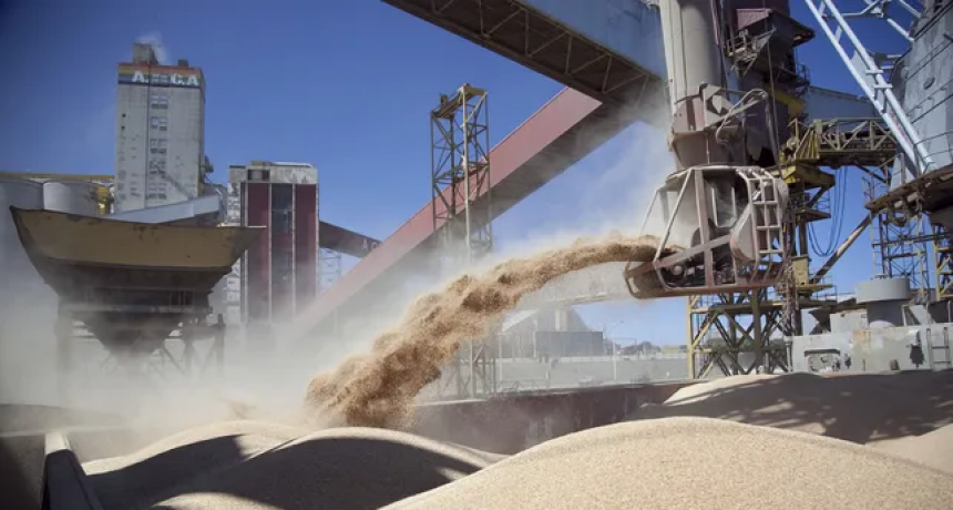 La soja tocó su máximo histórico de 2012 y terminó cerrando en más de u$s 639