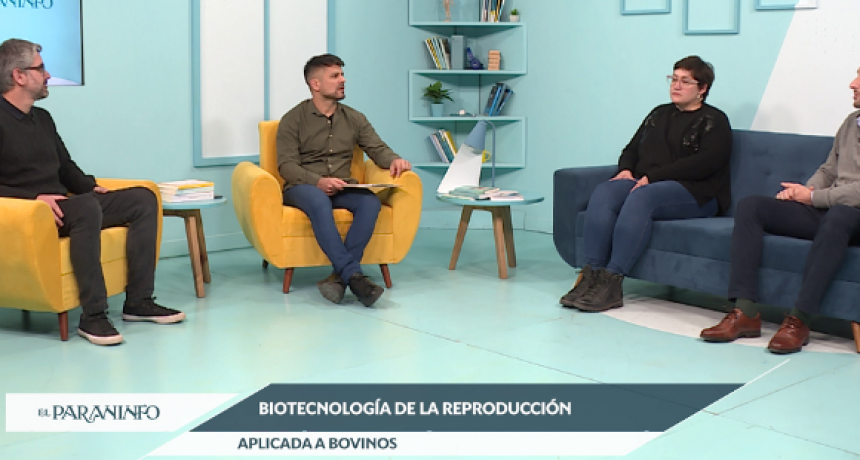 Cómo se modernizó la reproducción bovina
