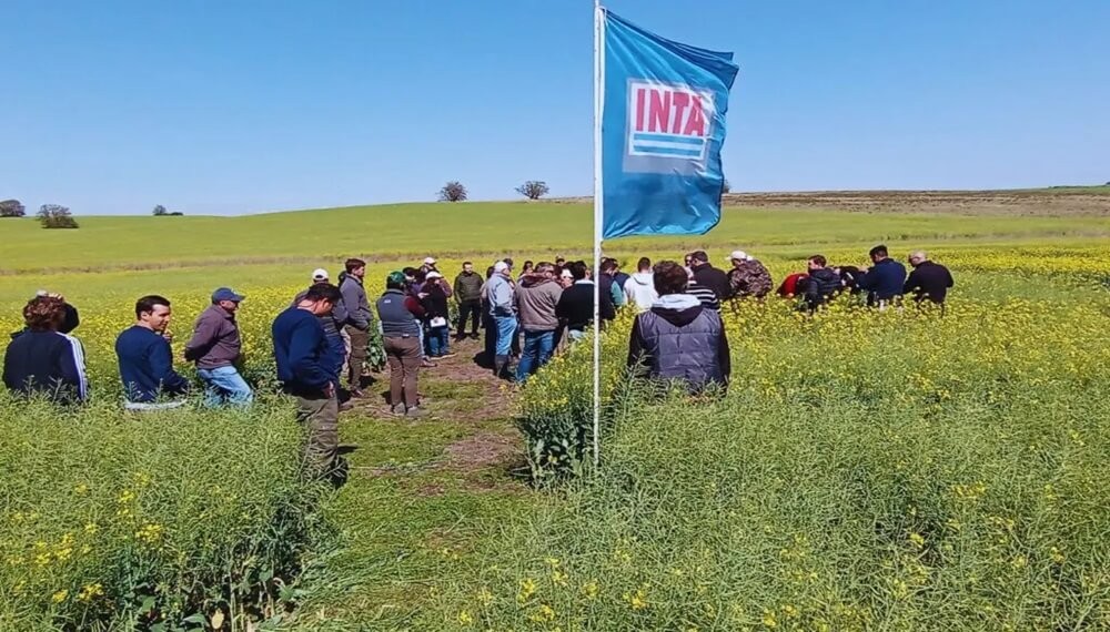 Mientras se demora el decreto “reestructurador”, el INTA cosecha más apoyos del ruralismo