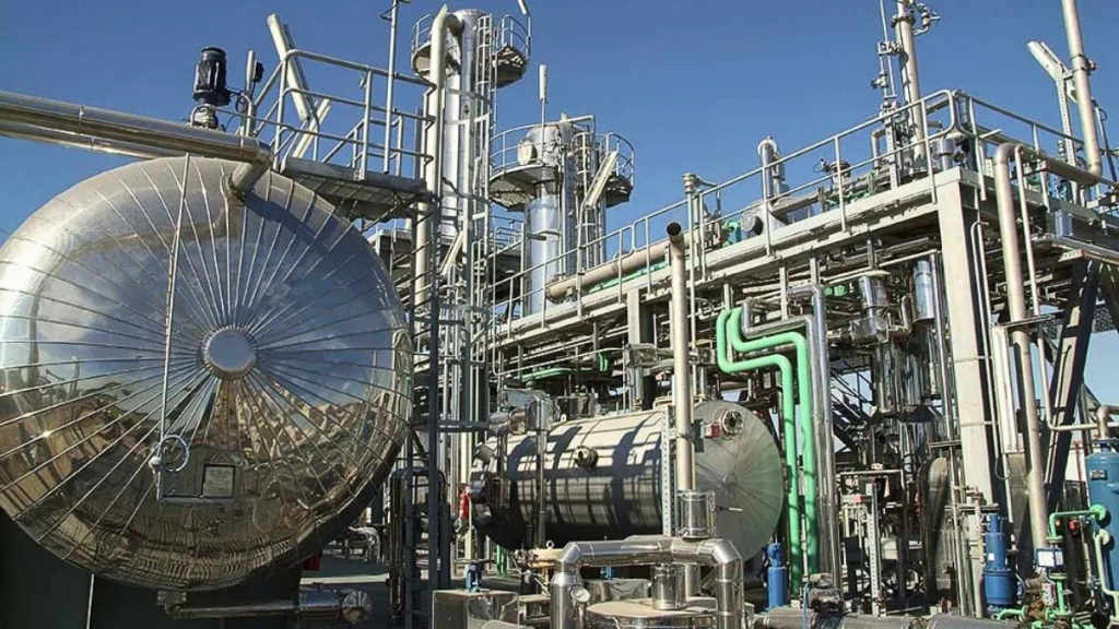Biocombustibles: el plan para suplantar importaciones de gasoil con producci&oacute;n de Santa Fe