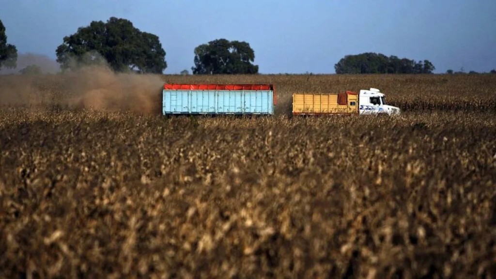 El cami&oacute;n puede devorar hasta un tercio del valor del ma&iacute;z en el norte santafesino