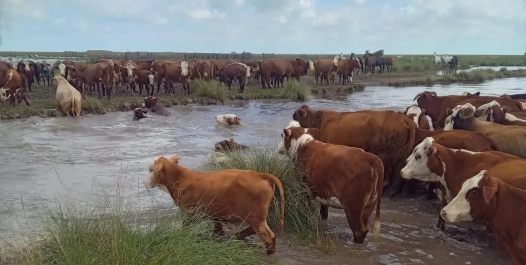El agro mira al cielo: prev&eacute;n un Ni&ntilde;o de considerable intensidad para la pr&oacute;xima campa&ntilde;a