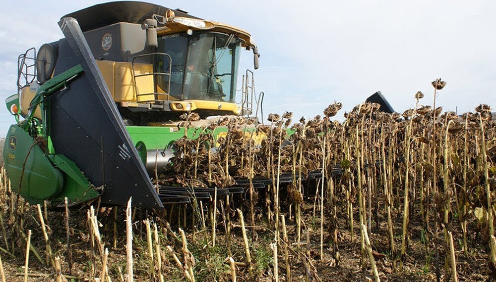 El boom del girasol impulsa tambi&eacute;n a la maquinaria: &ldquo;Movi&oacute; la aguja comercial&rdquo;