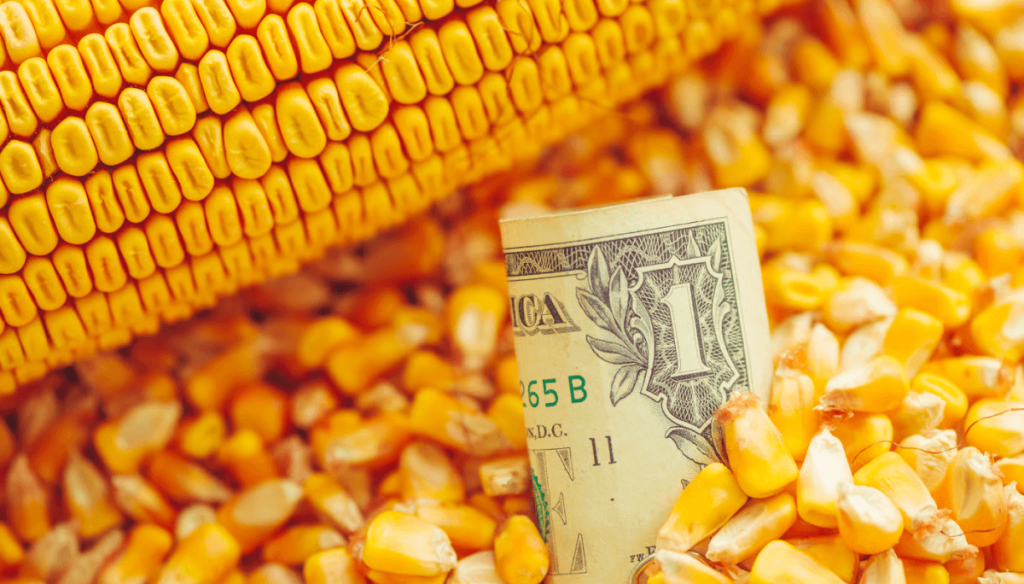 &iquest;El ma&iacute;z encontr&oacute; un nuevo piso?: la demanda y China podr&iacute;an cambiar la historia del mercado