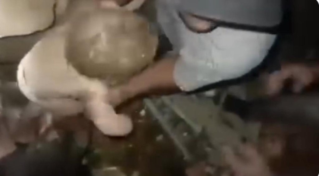 Video: as&iacute; rescataron con vida a un beb&eacute; atrapado bajo escombros en Venezuela