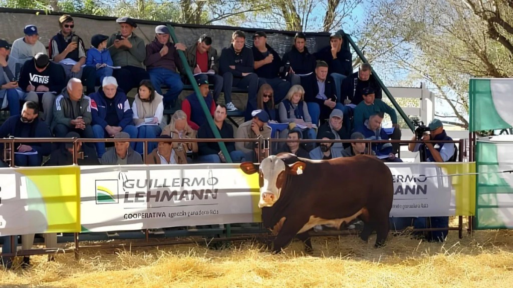 Precios destacados para la gen&eacute;tica en Emilia: los ganaderos necesitaron menos kilos de hacienda para comprar reproductores
