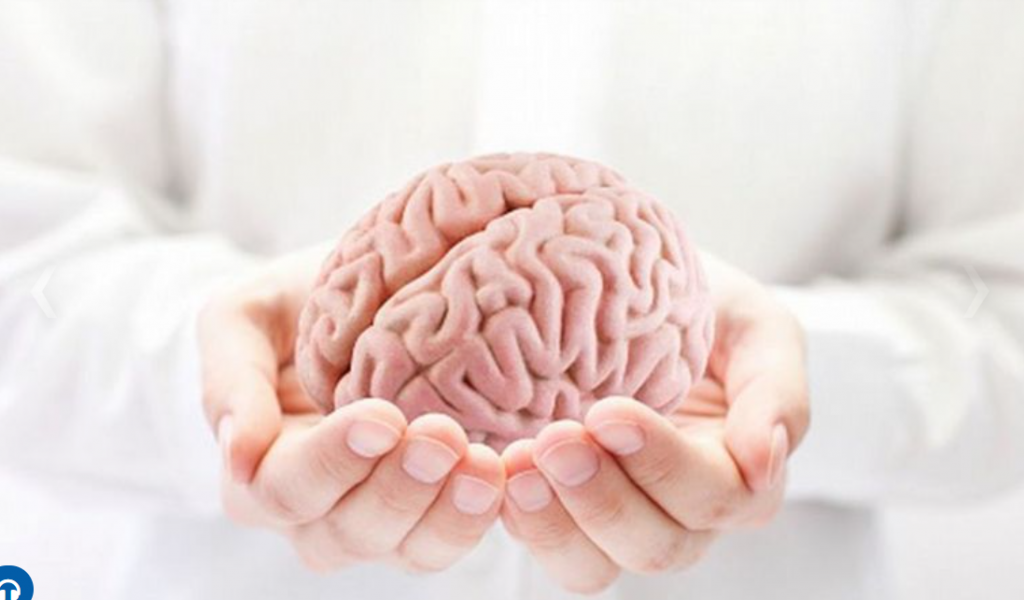 Día Mundial del Cerebro: qué porcentaje usamos y cómo cuidarlo