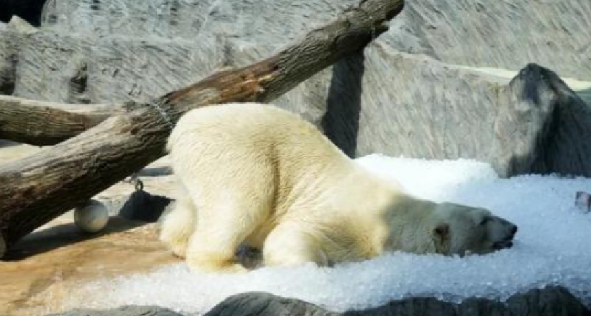 Una ola de calor agobia al sur de Europa y prevén que lo peor aún está por venir