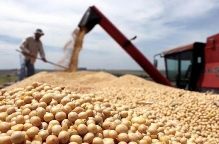 La harina de soja cayó al valor más bajo desde 2010