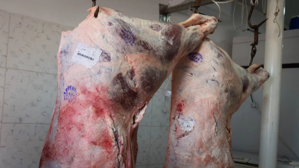 Javier Milei anunciaría baja de retenciones a la carne este sábado en la Expo Rural
