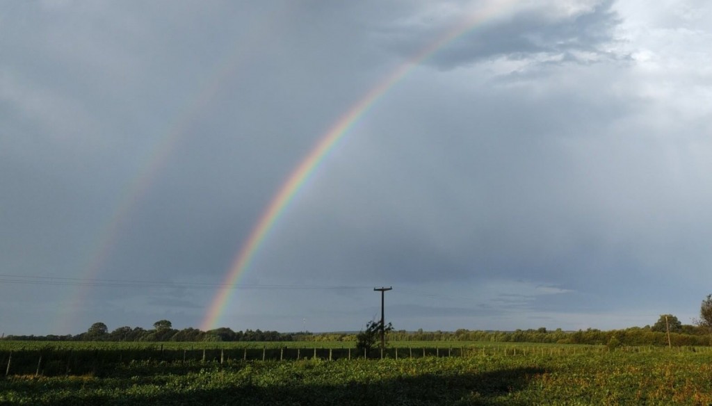 Se define el clima 2025/26: La Niña tiene más chances que El Niño, pero se impone la neutralidad