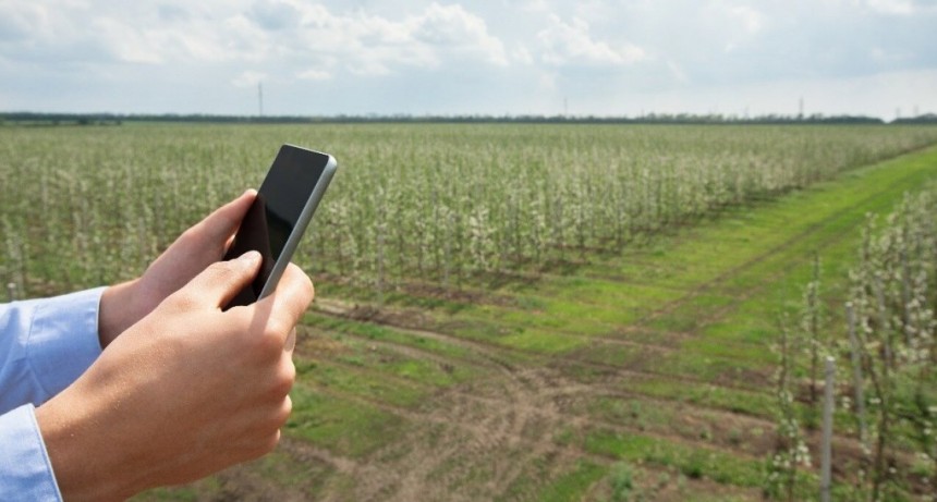Google sigue de cerca al campo argentino: por qué observa un “rearraigo” en zonas rurales