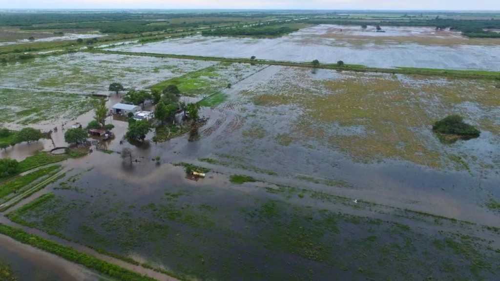Ganader&iacute;a: con m&aacute;rgenes todav&iacute;a hist&oacute;ricos, en qu&eacute; conviene invertir hoy para enfrentar El Ni&ntilde;o
