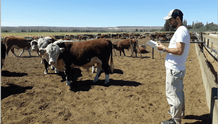 Optimismo a medias: el agro recupera confianza, pero con &ldquo;prudencia&rdquo; en el &aacute;nimo inversor