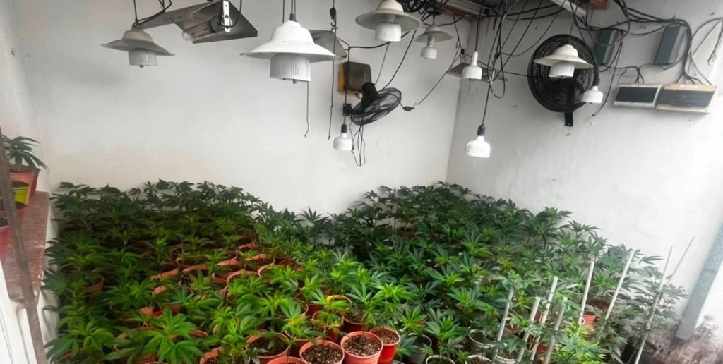 Un incendio dej&oacute; al descubierto una plantaci&oacute;n de cannabis en una vivienda de Santa Fe