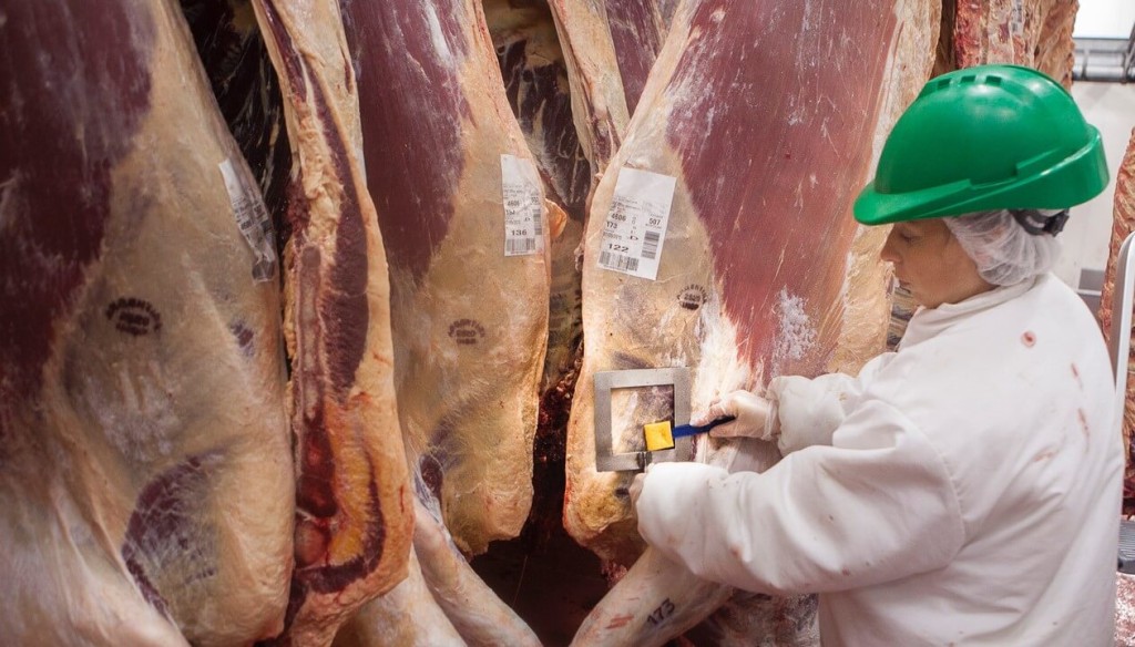 La faena bovina se redujo 8,9% en el primer semestre y signific&oacute; casi 100.000 toneladas menos de carne