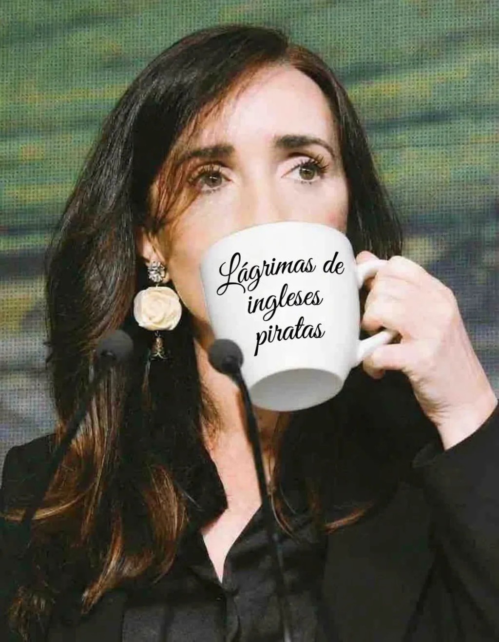 Victoria Villarruel defendi&oacute; a la Selecci&oacute;n tras una ofensa en redes: "L&aacute;grimas de ingleses piratas"