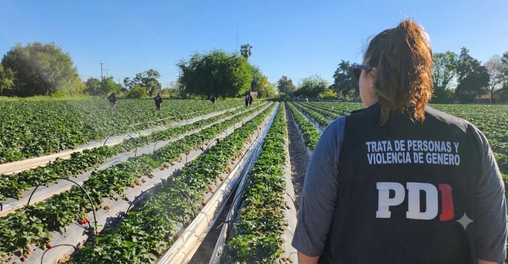 Se viene el juicio a un productor de frutillas de Santa Fe investigado por trata de personas en Arroyo Leyes