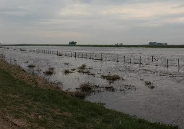 La Sociedad Rural de Santa Fe alert&oacute; sobre el impacto del fen&oacute;meno de El Ni&ntilde;o en el campo
