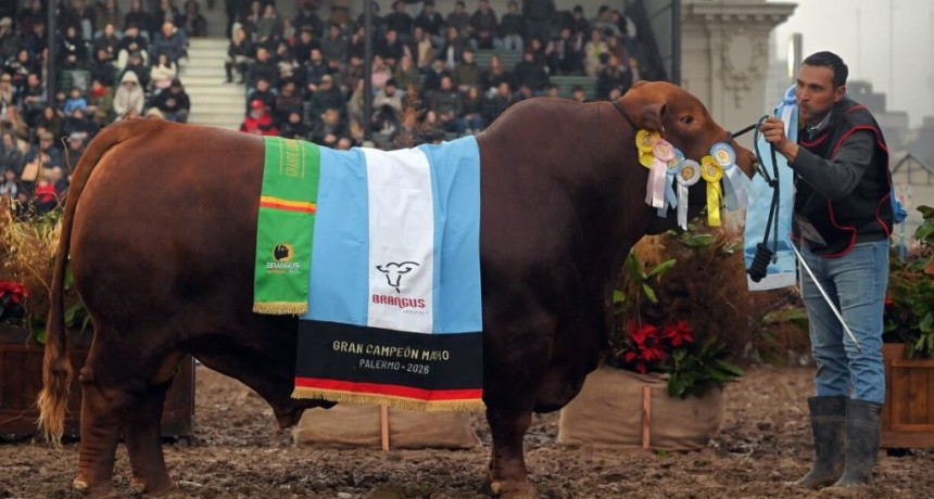 Gan&oacute; los grandes campeones tanto macho como hembra en Palermo y cuenta los secretos del &eacute;xito caba&ntilde;ero