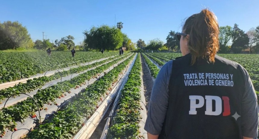 Se viene el juicio a un productor de frutillas de Santa Fe investigado por trata de personas en Arroyo Leyes