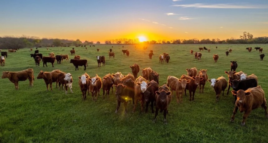 Santa Fe apuesta a la trazabilidad ambiental para fortalecer las exportaciones agropecuarias