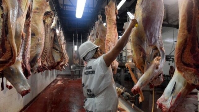 Carne: las restricciones a la exportación se hicieron sentir en junio