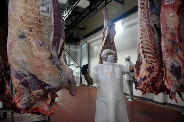 Carne: las exportaciones crecieron 56% en junio