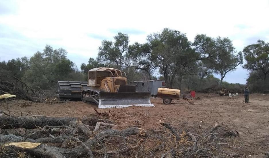 Logran frenar a tiempo un desmonte ilegal de más de 100 hectáreas en el interior