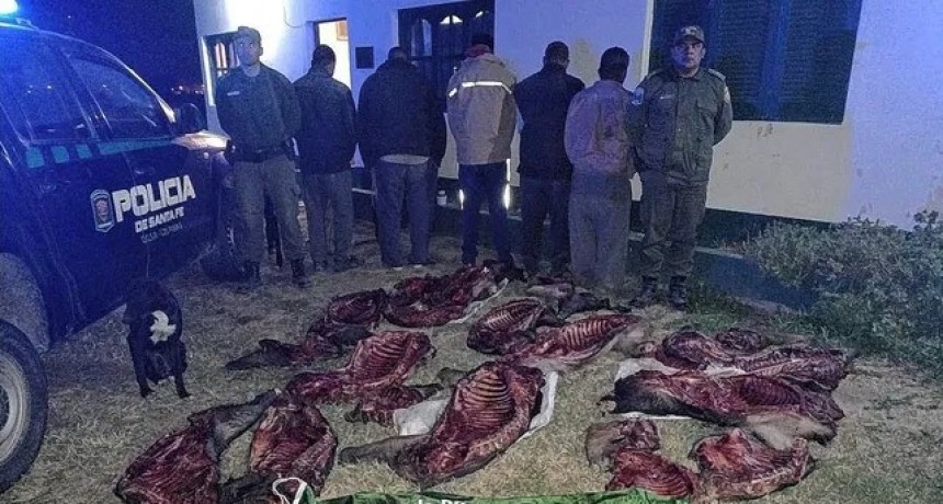 Atraparon a cinco chaqueños por cazar chanchos salvajes en el norte santafesino