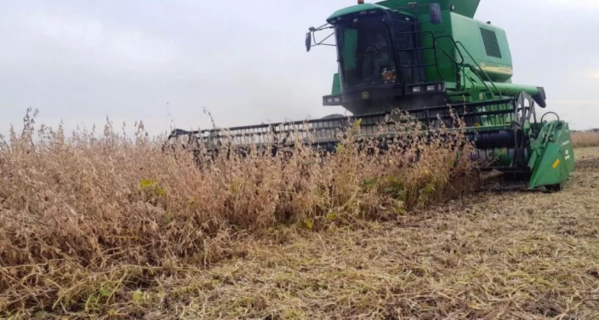 Santa Fe aportó por retenciones US$868 millones en seis meses