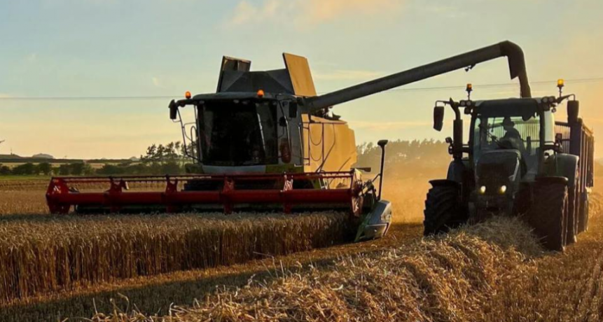 El Gobierno nacional trabaja en una ley de inversiones para el sector PYME del agro