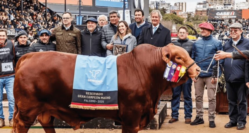 Un toro Brangus se vendió a $ 272 millones el 50% y marcó un récord para la ganadería nacional