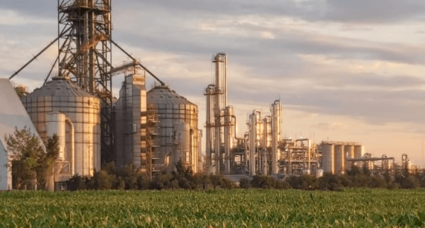 Subas y bajas: el “pulso del agro” late bien en general, pero con algunas irregularidades