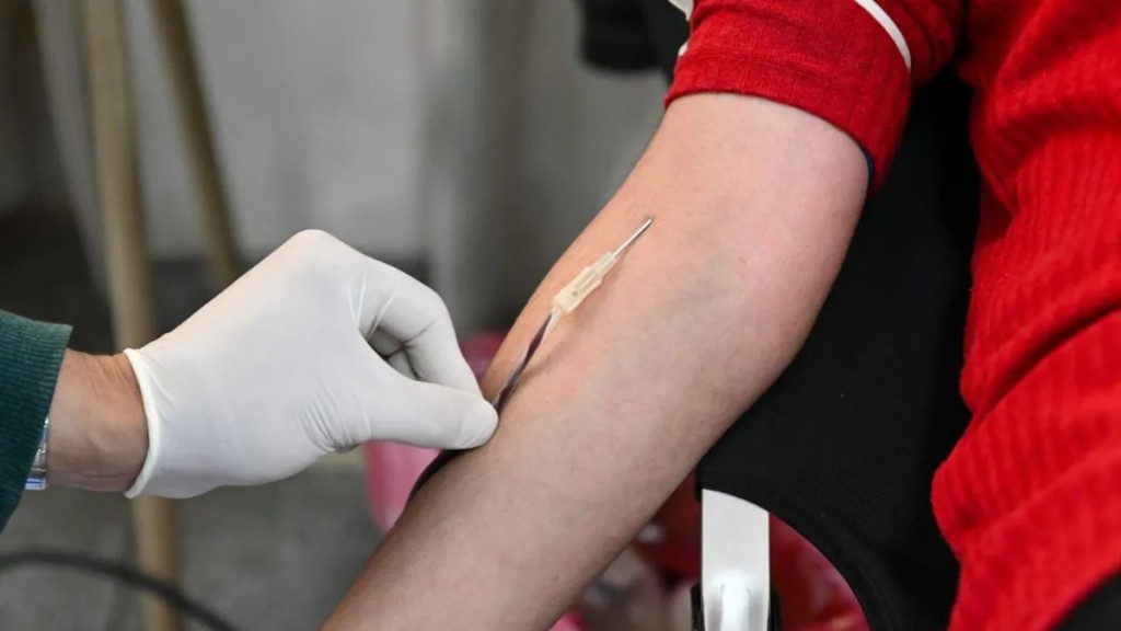 Donar sangre lleva apenas 20 minutos: cu&aacute;les son los requisitos y los mitos m&aacute;s comunes
