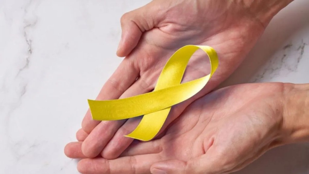 Santa Fe avanza con una ley para prevenir el suicidio: el Senado aprob&oacute; la creaci&oacute;n de la l&iacute;nea 135