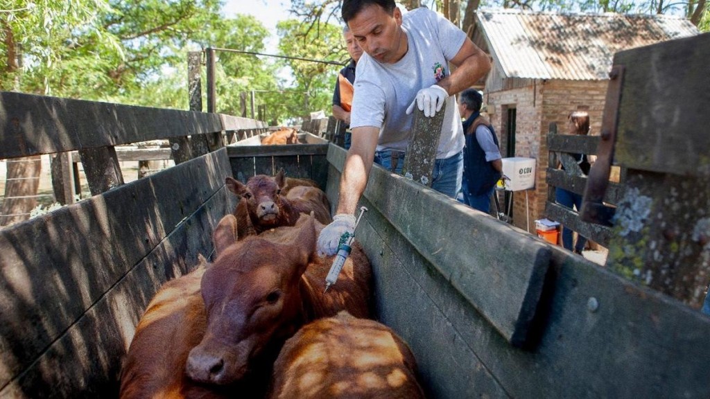 CRA pide prevenir las crecientes y fortalecer la sanidad ganadera