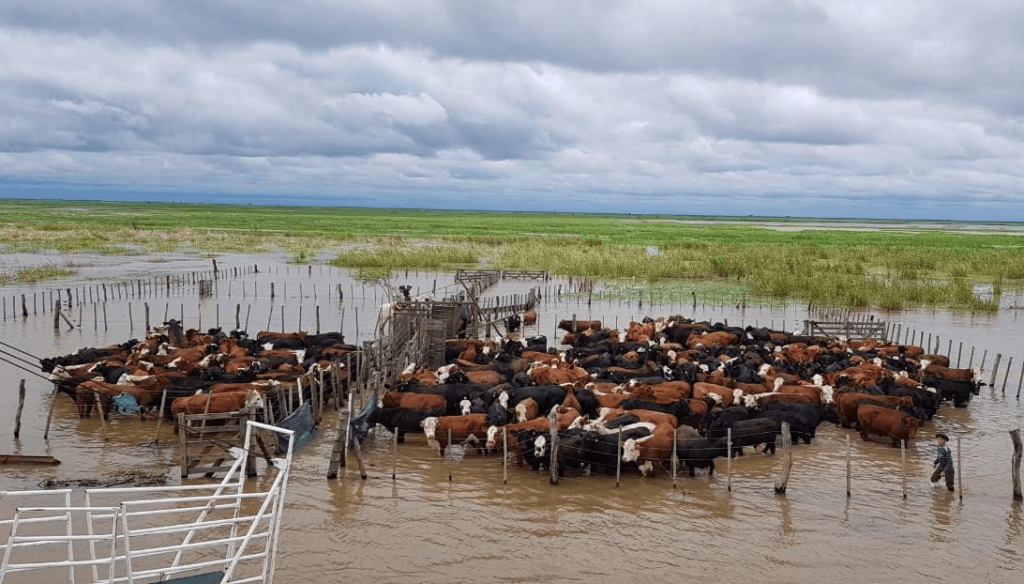 &ldquo;Ropeca&rdquo;: Santa Fe lanz&oacute; una herramienta digital para prevenir el impacto de El Ni&ntilde;o