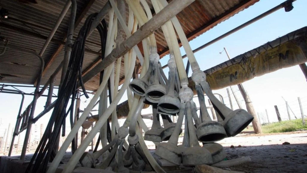 Santa Fe perdi&oacute; casi 300 tambos: por qu&eacute; cerraron y qu&eacute; pas&oacute; con las vacas