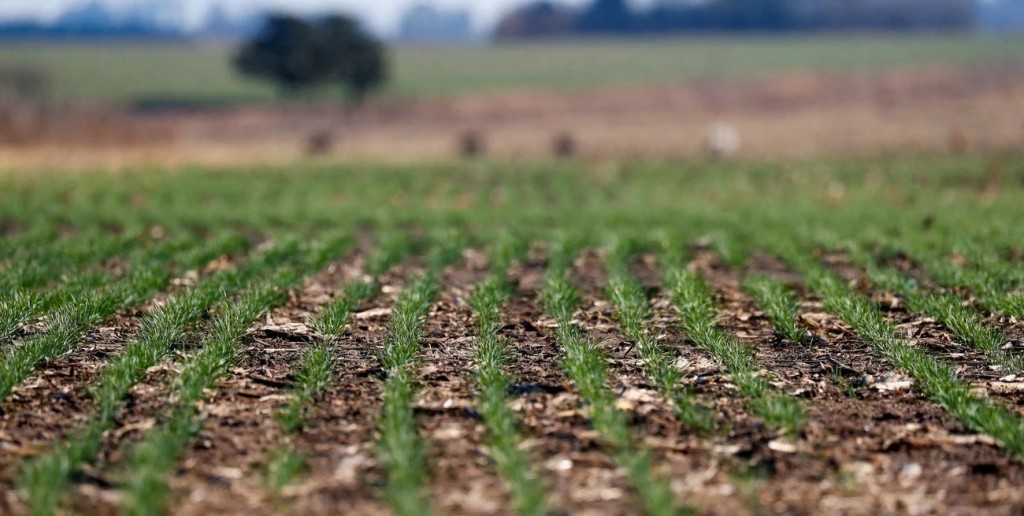 Tras las lluvias, las actividades agr&iacute;colas se reanudan gradualmente en el centro norte santafesino