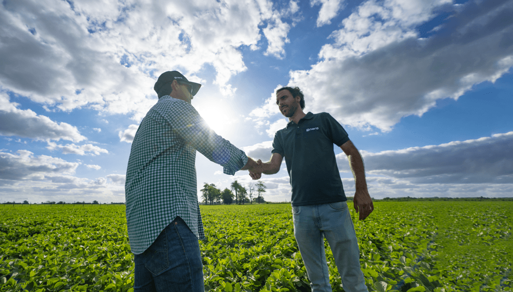 El cr&eacute;dito agropecuario tiene luz &ldquo;verde&rdquo;: 8 de cada 10 operaciones se pactan en d&oacute;lares