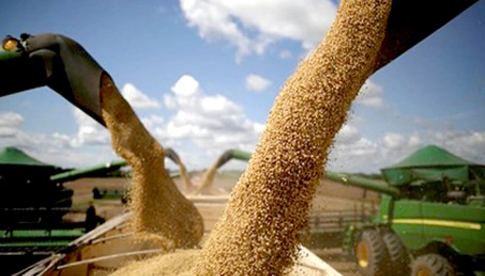 La soja supera los $500.000, le gana a la inflaci&oacute;n y activa las ventas de los productores